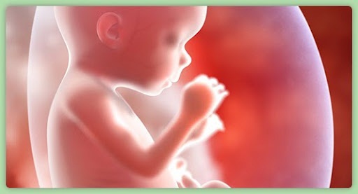 ¿QUÉ SABES SOBRE EL ABORTO y las 3 causales?…