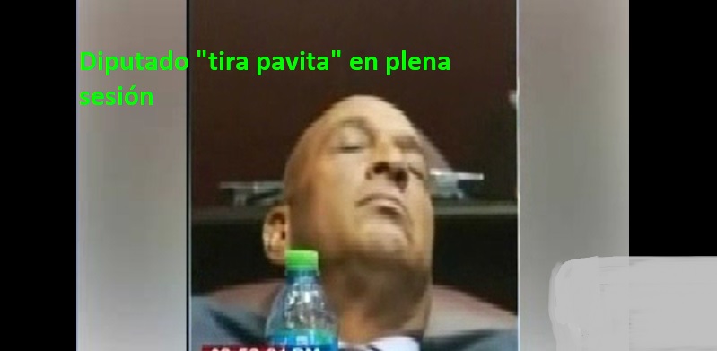 DIPUTADO DEL PLD «echa pava profunda» en plena sesión…