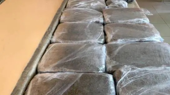 EN SDE DICAN ocupa casi 50 libras de sustancia presume es marihuana