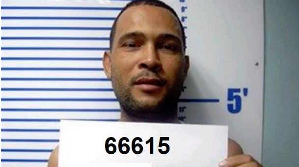 ¿QUIÉN ES EL GRINGO, “el rey del microtráfico en Santo Domingo”?