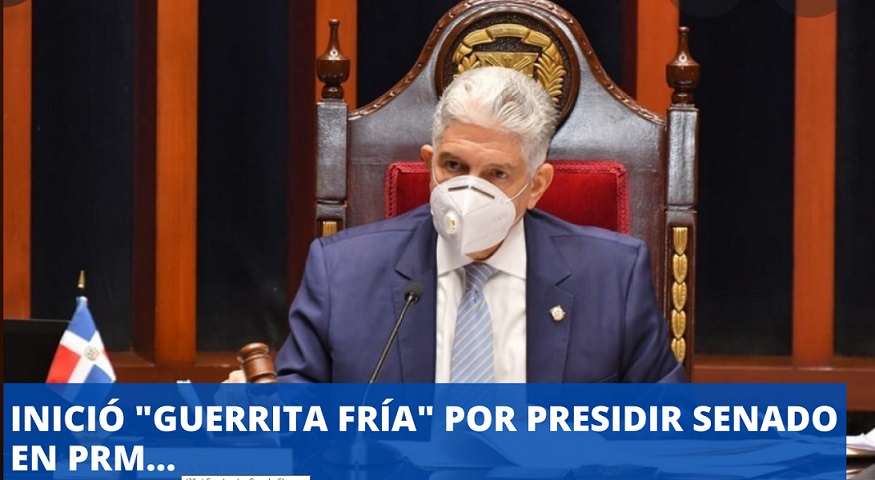 INICIÓ “GUERRITA” POR PRESIDENCIA DEL SENADO en el PRM…