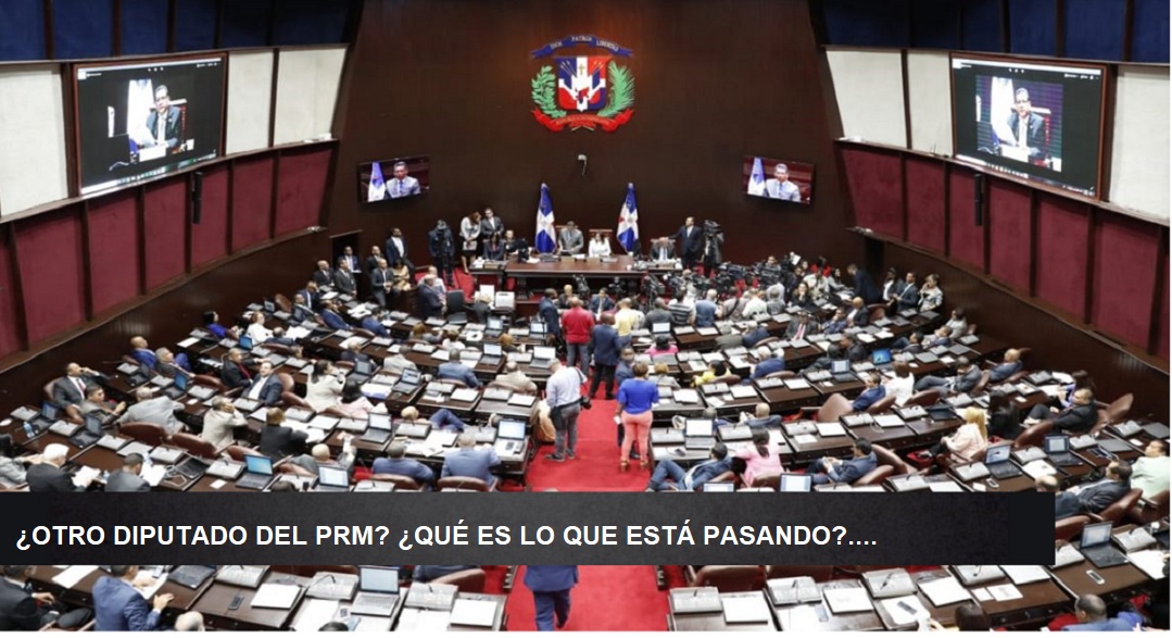 ¿UN DIPUTADO FALSIFICADOR EN LA CÁMARA? Al parecer hay todo…