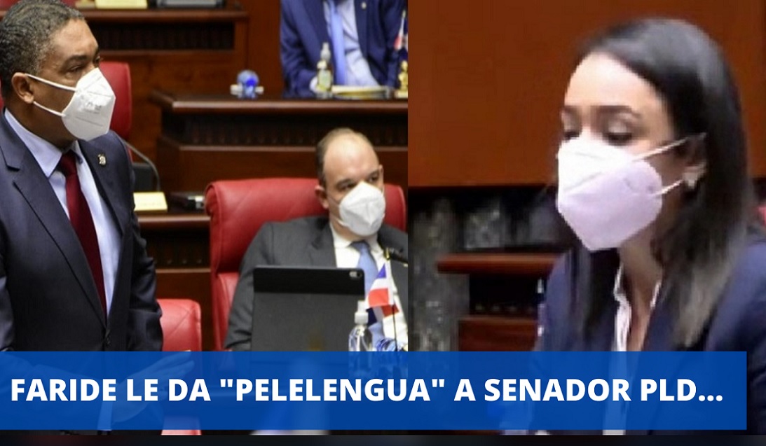 LA «PELELENGUA» DE FARIDE a senador del PLD…