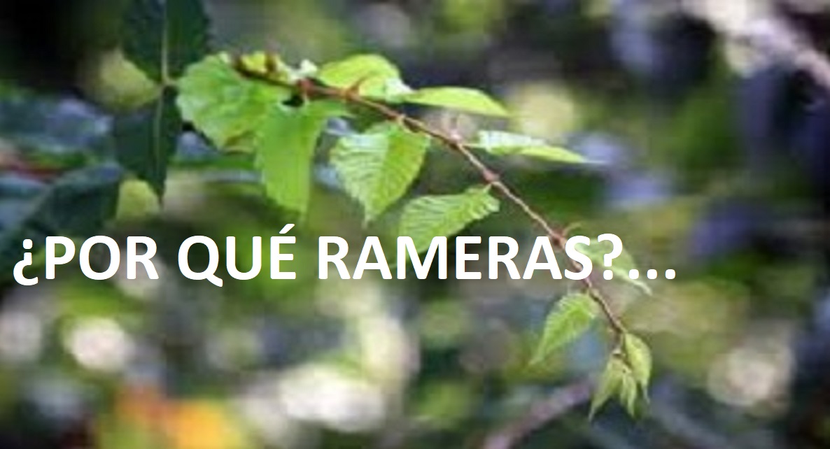 POR QUÉ RAMERAS A LAS PROSTITUTAS; ¿Lo sabías?…