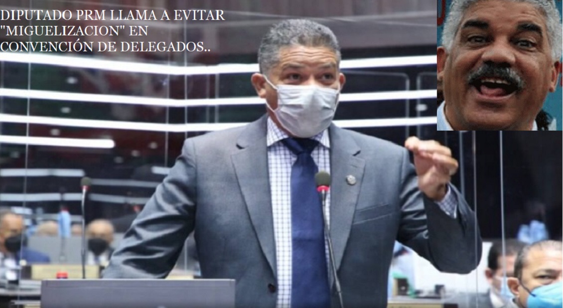 DIPUTADO PRM LLAMA A EVITAR “MIGUELIZACIÓN” en Convención de Delegados…