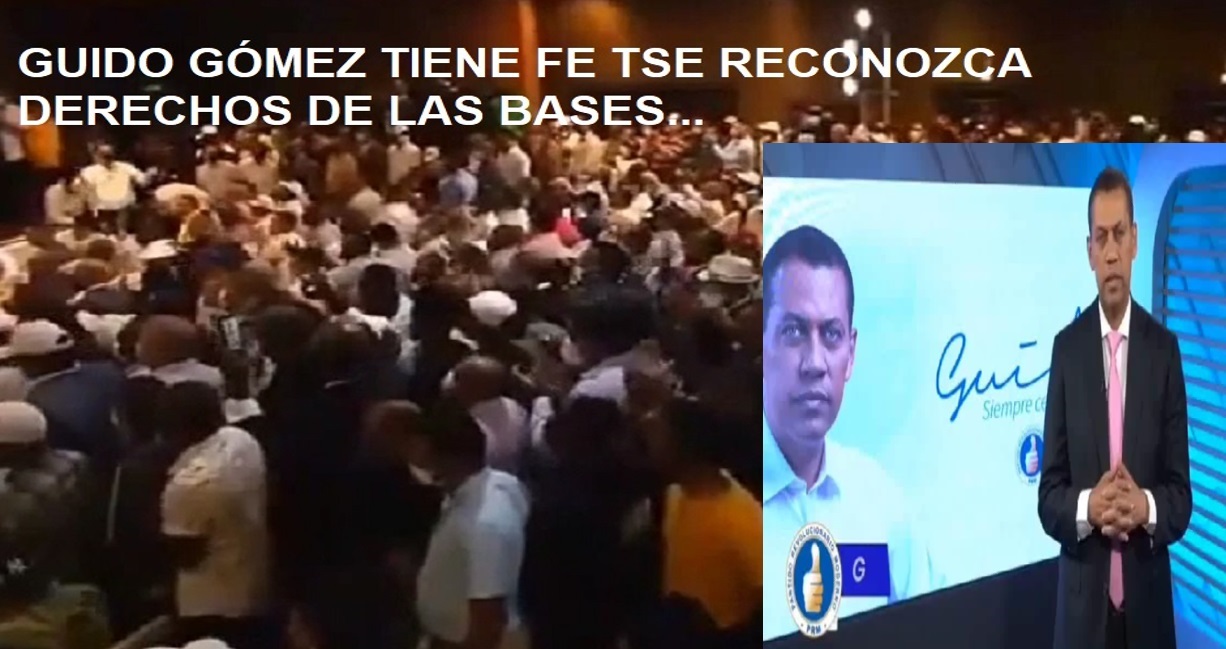 GUIDO: “No hay forma humana de que el TSE diga lo contario en la Convención”…