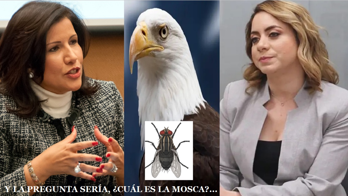 ¿CUÁL SERÁ LA MOSCA? Como que hay un error…