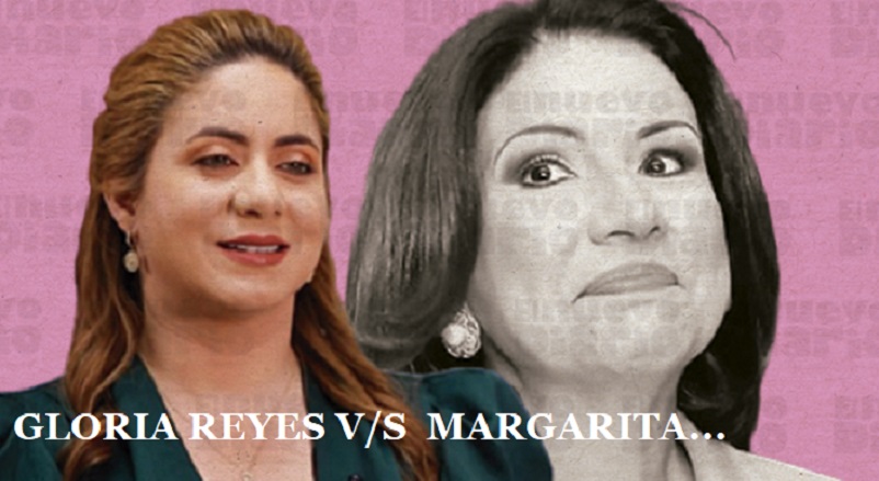 Gloria Reyes pide Cámara de Cuentas audite a Prosoli/Supérate desde 2012 hasta su gestión…