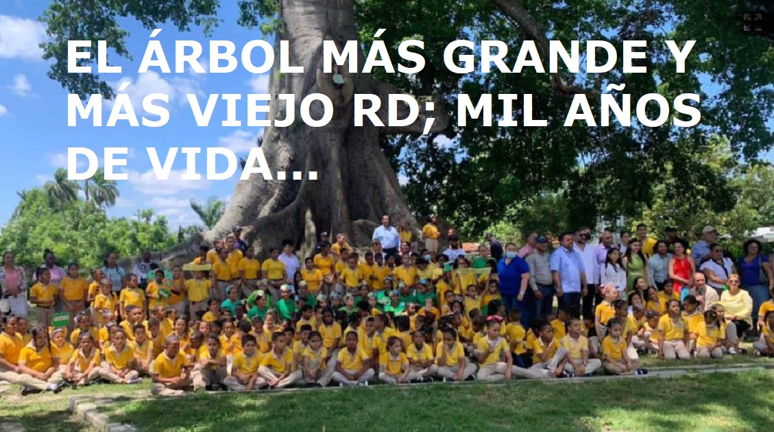 El árbol más grande y antiguo de la República dominicana, se cree que tiene unos mil años….