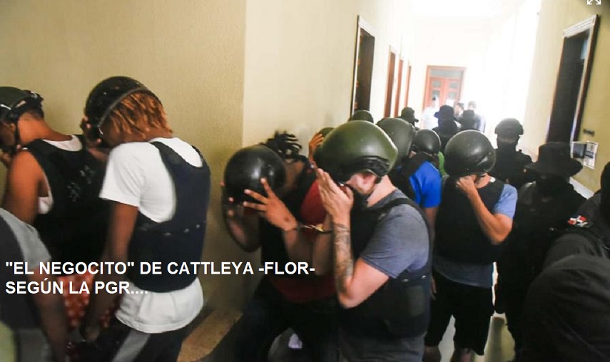 “EL NEGOCITO” DE CATTLEYA, Y LA TRATA DE BLANCA, según la PGR…