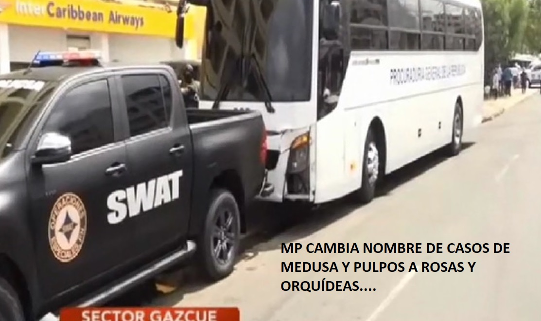 PGR “CAMBIA DE MEDUSA Y PULPOS a flores y orquídes…