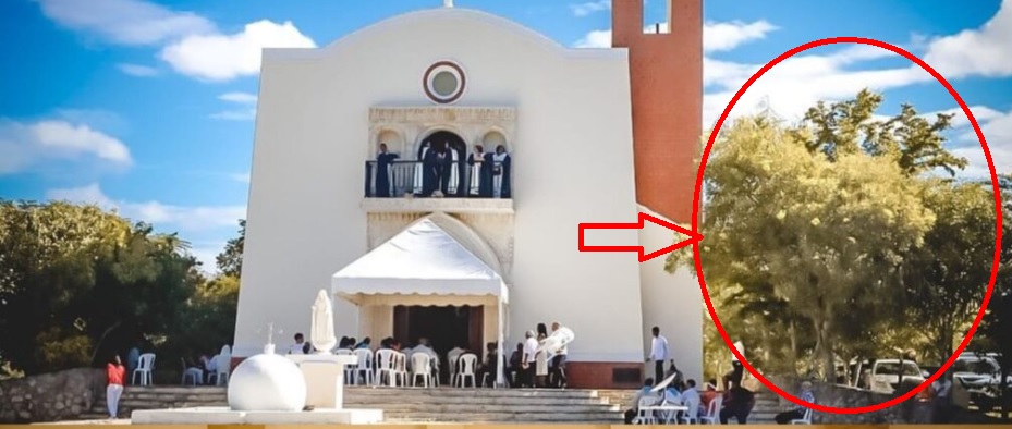 ESTÁ DE PIE ÁRBOL DONDE SE DIO PRIMERA MISA del Nuevo Mundo en Puerto Plata….
