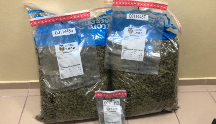 Detienen dama llegó aeropuerto del Cibao con más de 30 libras de sustancia se presume es marihuana