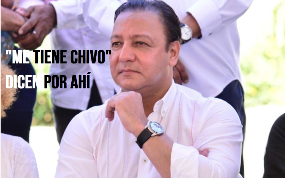 LA «CHIVERÍA» DEL PLD; Todos están chivos…