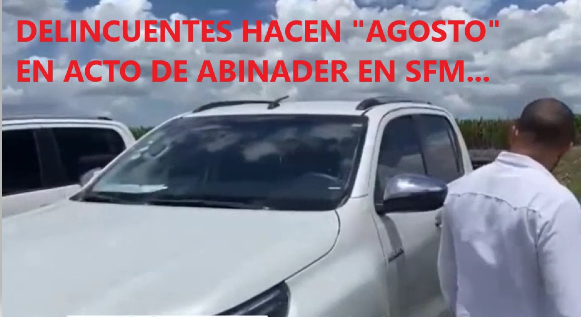 DELINCUENTES HACEN “AGOSTO” EN DE ABINADER en SFM…