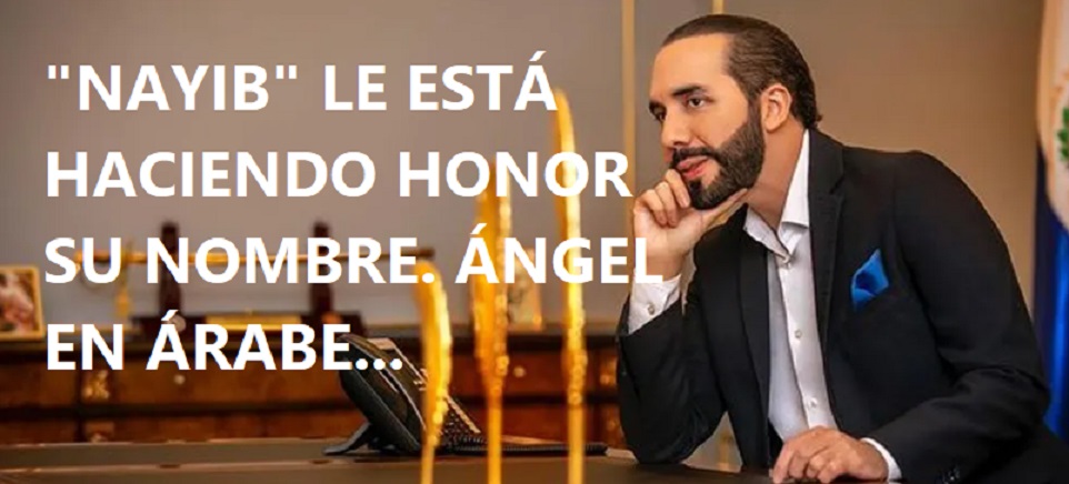 “NAYIB” LE ESTÁ HACIENDO HONOR A SU NOMBRE; En árabe Angel y en dialecto egipcio, Dios está aquí…