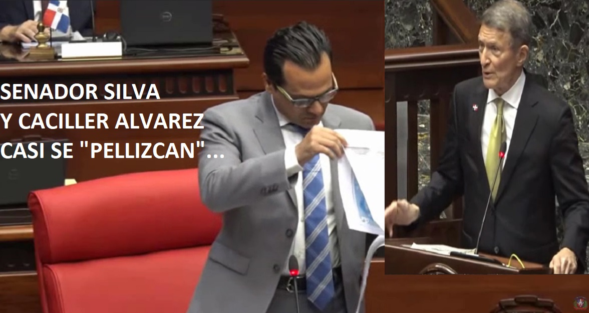 CANCILLER ÁLVAREZ Y SENADOR “CASI SE EMBOJOTAN” en Senado- VIDEO-…