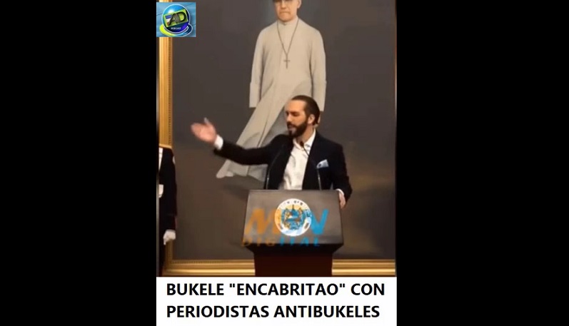 BUKELE «SE ENCABRITA» con periodistas antibukele…